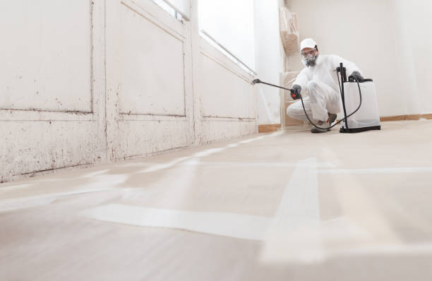 24/7 Emergency Commercial Mold Remediation experts in Rowlett, TX
